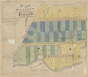 Plan of the Vineyard or Old Mill Dam Farm, Parramatta [...