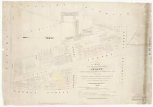 Plan of the late Mr. J. Dickson's grant, Sydney [cartog...