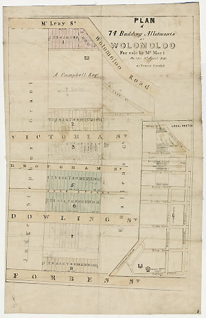 Plan of of 74 allotments at Wolomolo for sale by Mr. Mo...
