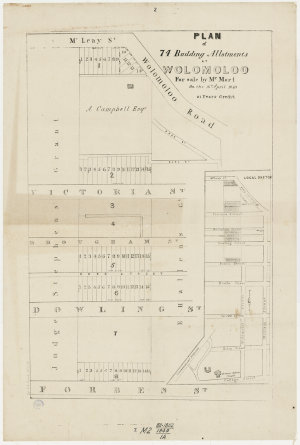 Plan of of 74 allotments at Wolomolo for sale by Mr. Mo...