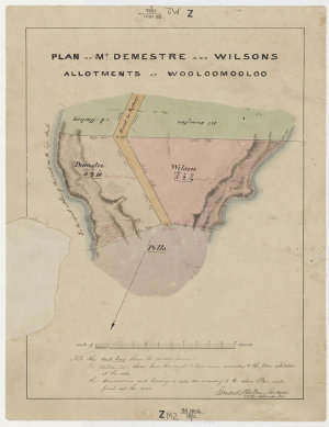 Plan of Mr. Demestre and Wilsons allotments at Wooloomo...