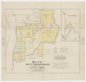 Plan of the Mount Gilead Estate [cartographic material]...