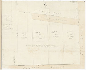 Hamilton's land [cartographic material] : day of sale 6...