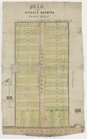 Plan of Chelsea Gardens, Surry Hills, to be sold by auc...