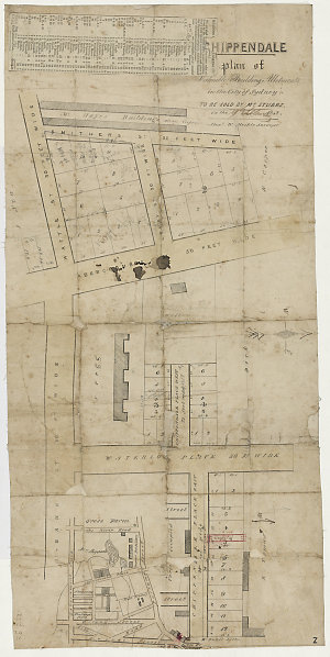 Chippendale, plan of valuable building allotments in th...