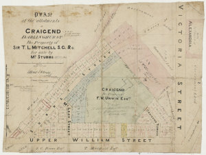 Plan of the allotments at Craigend Darlinghurst, the pr...
