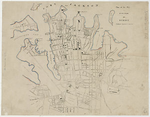 Plan of the City and suburbs of Sydney [cartographic ma...