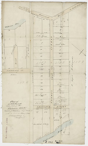 Plan of 30 allotments being part of the Balmain Estate,...