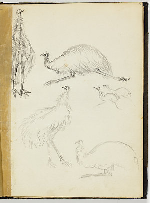 Herrgott's sketches, John McDouall Stuart Expedition, 1...
