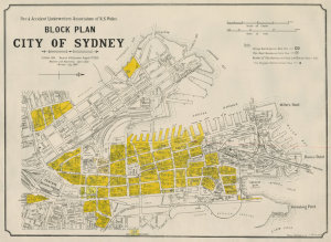 Detail survey maps [Sydney] [cartographic material] : B...