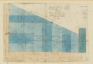 Mount Lachlan Estate, Samnels [cartographic material] :...