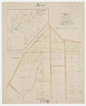 Plan of allotments of land situate on Silex, North Shor...