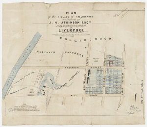 Plan of the village of Collingwood, the property of J.H...