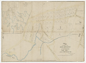 Plan of allotments of land situate on the Crows Nest es...