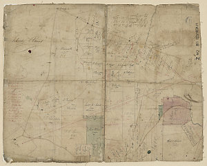 Liberty Plains [cartographic material]