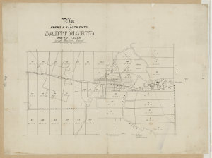 Plan of farms & allotments at Saint Marys, South Creek,...