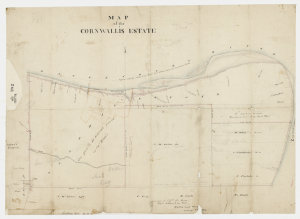 Map of the Cornwallis Estate [cartographic material] / ...