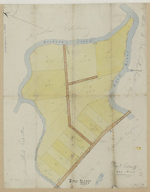 [Major Wentworth's land at Duck River] [cartographic ma...