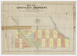 Plan of the Newington property near Singleton, purchase...