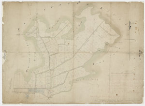 [Plan of land between Hen and Chicken Bay and Iron Cove...