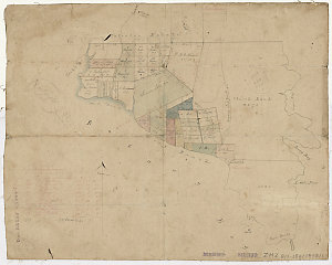 [Parish of Botany subdivision plans] [cartographic mate...