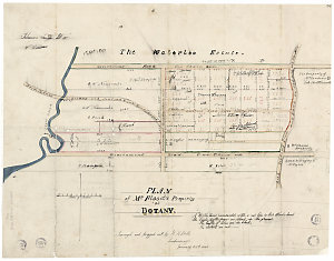 Plan of Mr. Flood's property at Botany [cartographic ma...