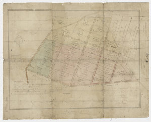 Surry Hills in 1814 [cartographic material] : land adjo...