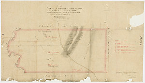 Plan of 3 measured portions of land on the Dartbrook an...