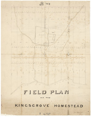 Field plan of the Kingsgrove Homestead [cartographic ma...