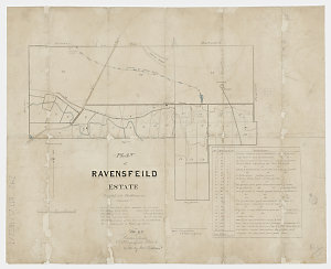 Plan of Ravensfield estate [cartographic material] : di...