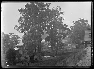 [Point Clare, Beecroft and Sydney region, ca. 1911-1929...