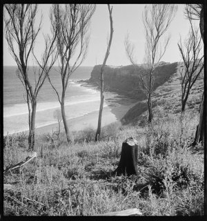 File 39: Bungan Head, early 1930s / photographed by Max...