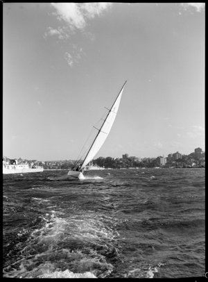 File 20: Sydney, Sailing on harbour, [1930s-1940s] / ph...