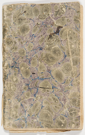 Volume 53 Item 01: Sir William Macarthur memoranda of s...