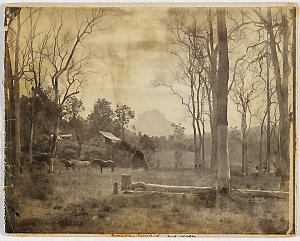 Photographs of Sherwood family, Unumgar, and Richmond R...