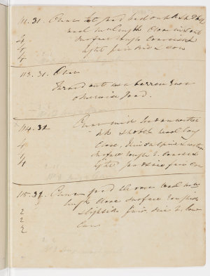 Volume 70 Item 02: Macarthur family record of character...