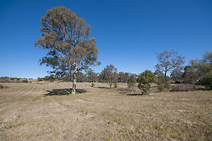 Item 03: Camden Heights, NSW, 21 October 2012 / photogr...