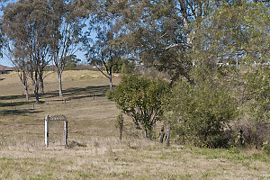 Item 01: Camden Heights, NSW, 21 October 2012 / photogr...