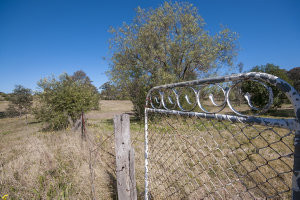 Item 02: Camden Heights, NSW, 21 October 2012 / photogr...
