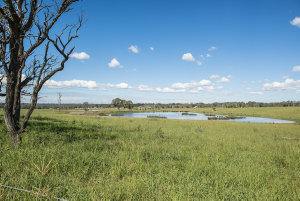 Item 06: Rural scene, Badgerys Creek, NSW, 17 April 201...