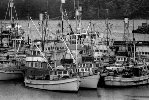 Item 06: 20 Fishing boats, Ulladulla, NSW, 1970 / photo...