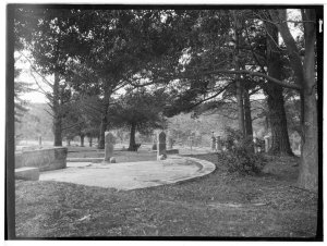 Item 15: 'Ingleside' and 'Powdermill', Narrabeen, 1924 ...