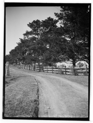 Item 03: 'Campbell Fields', Minto, 1927 / photographer ...