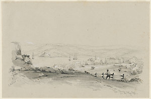 Fort Street from the Flag Staff [i.e. Flagstaff], 1843-...