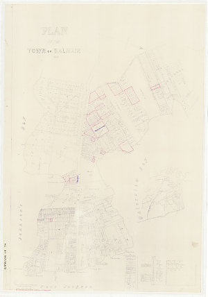Plan of the town of Balmain [cartographic material] / s...