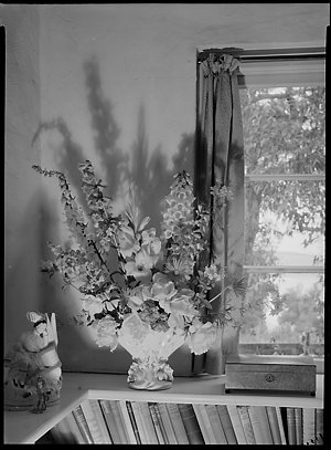 File 01: Ure Smith, flowers Mrs Craig, [1940s] / photog...