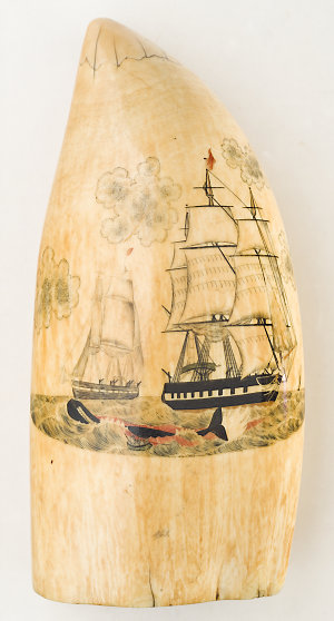 Two whale's teeth scrimshaw