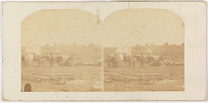 Stereographs of Sydney scenes, 1850-1870 / by William Hetzer and J. R. Clarke