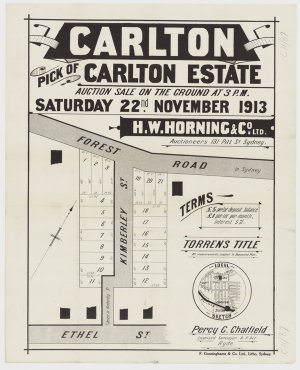 [Carlton subdivision plans] [cartographic material]