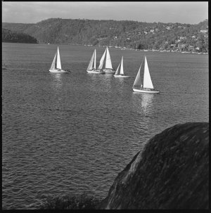 File 12: Monday afternoon, Mid. [Middle] Harbour, Janua...